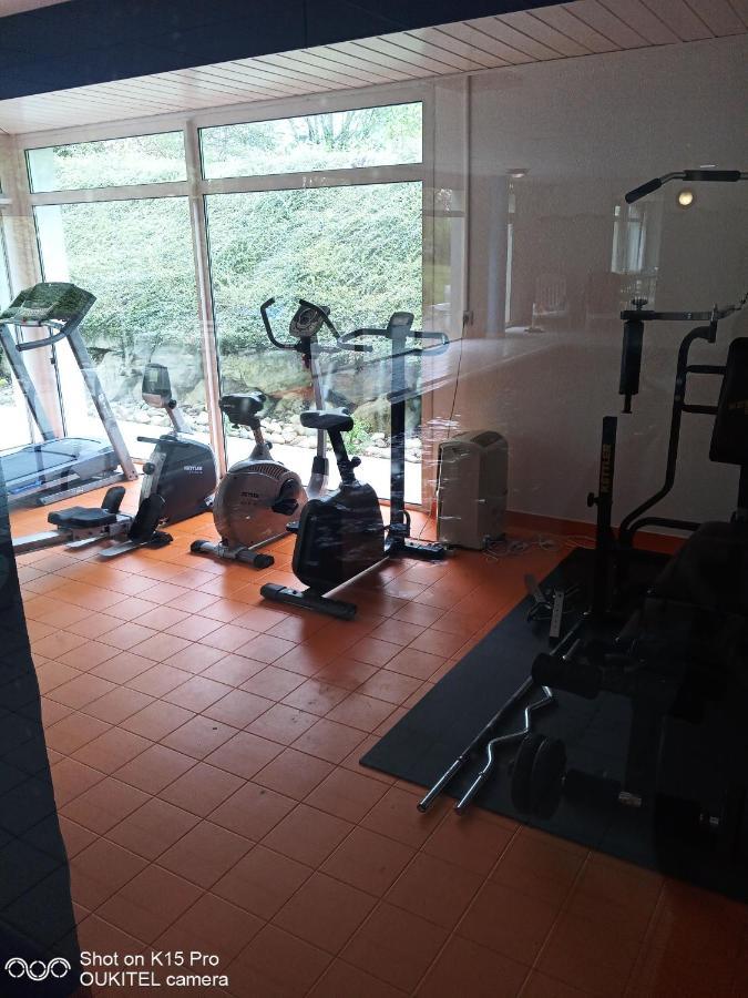 Le Roi Du Sundgau Pres De La Horse - Mooslargue Aparthotel Buitenkant foto